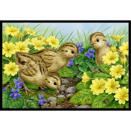 Carolines Treasures Pheasant Chicks Indoor or Outdoor Mat- 24 x 36 ASA2177JMAT